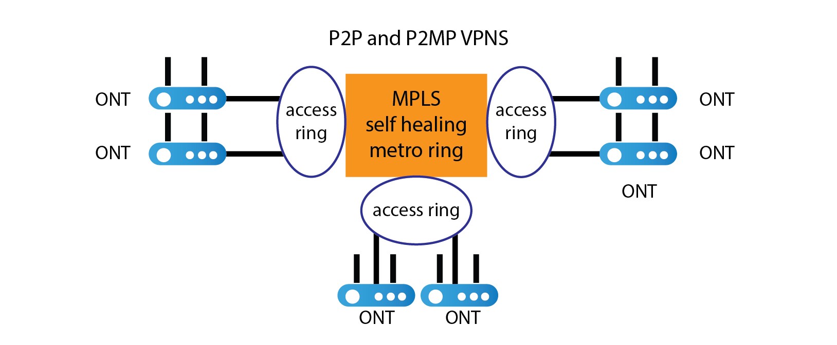 P2P and P2MP VPNS